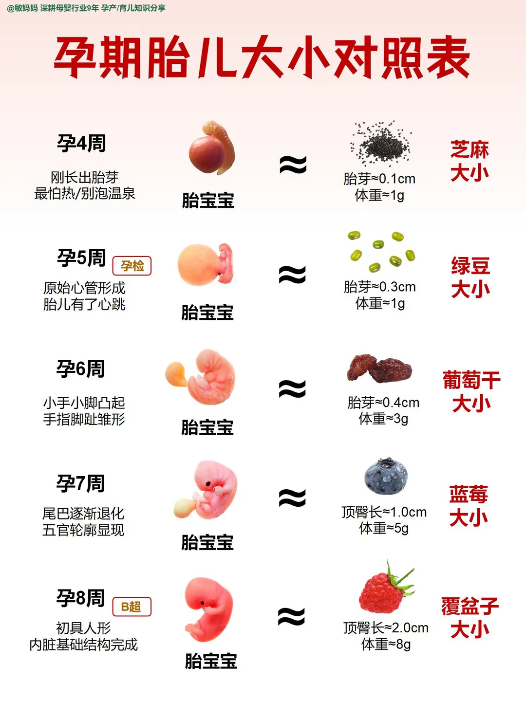 怀孕1-40周胎儿大小对照表‼️胎儿发育进程