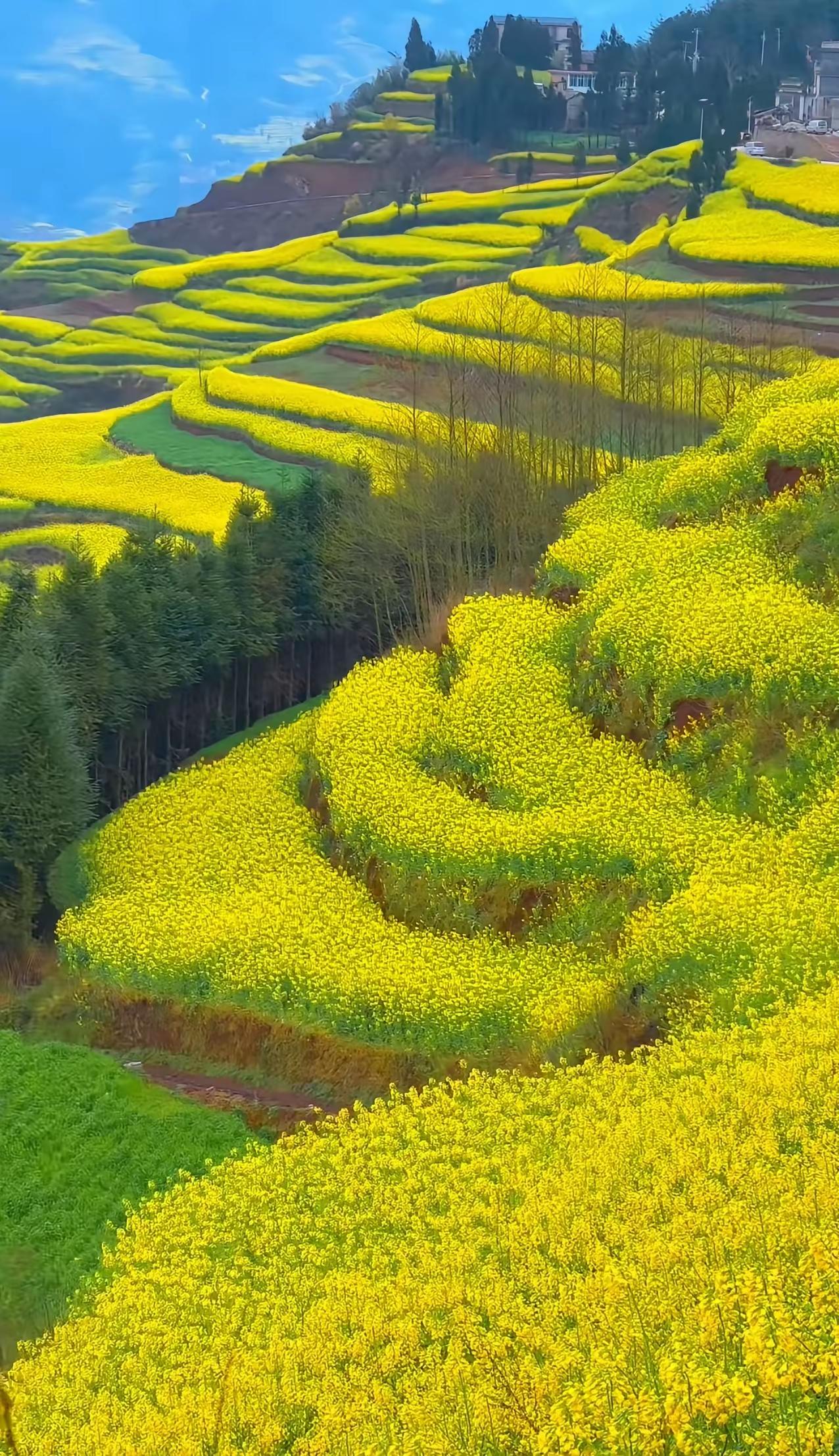 心顺则家旺一家之福，不在富贵，不在屋大，而在人心和顺，心气舒畅。心