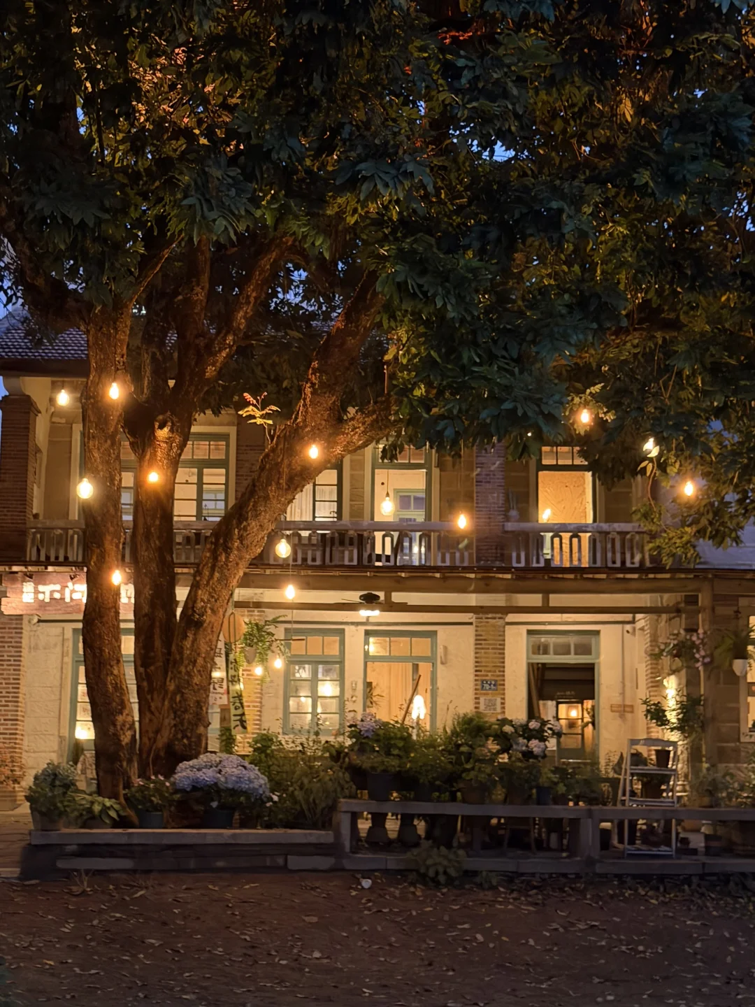 是厦门独有的氛围感✨