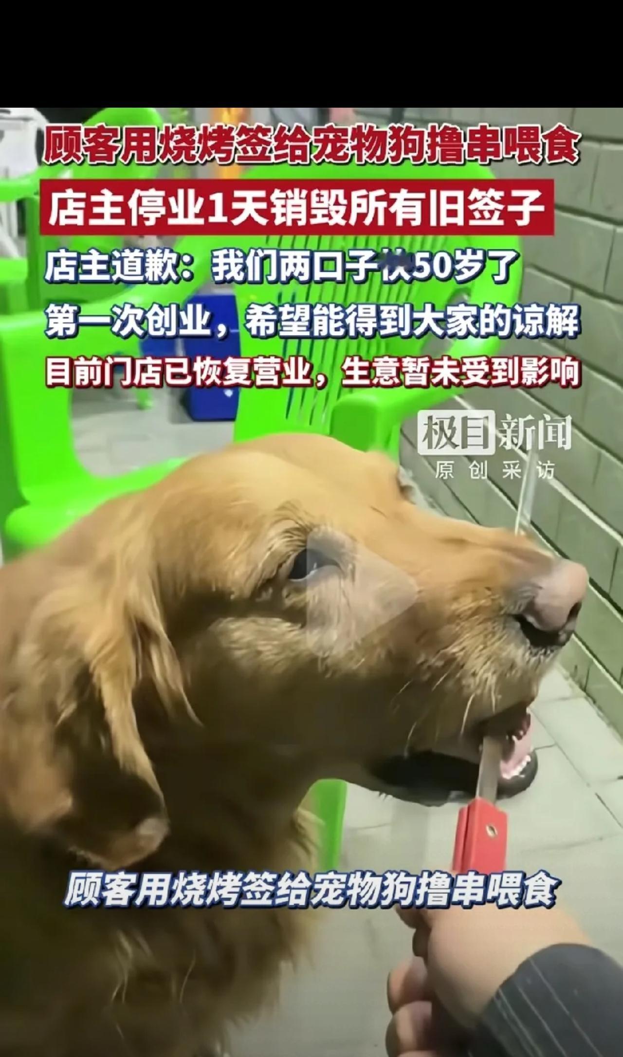 “闹大了！”内蒙古赤峰，顾客在烧烤店吃串时，竟用烤肉签子喂狗吃烤串，被人拍了视频