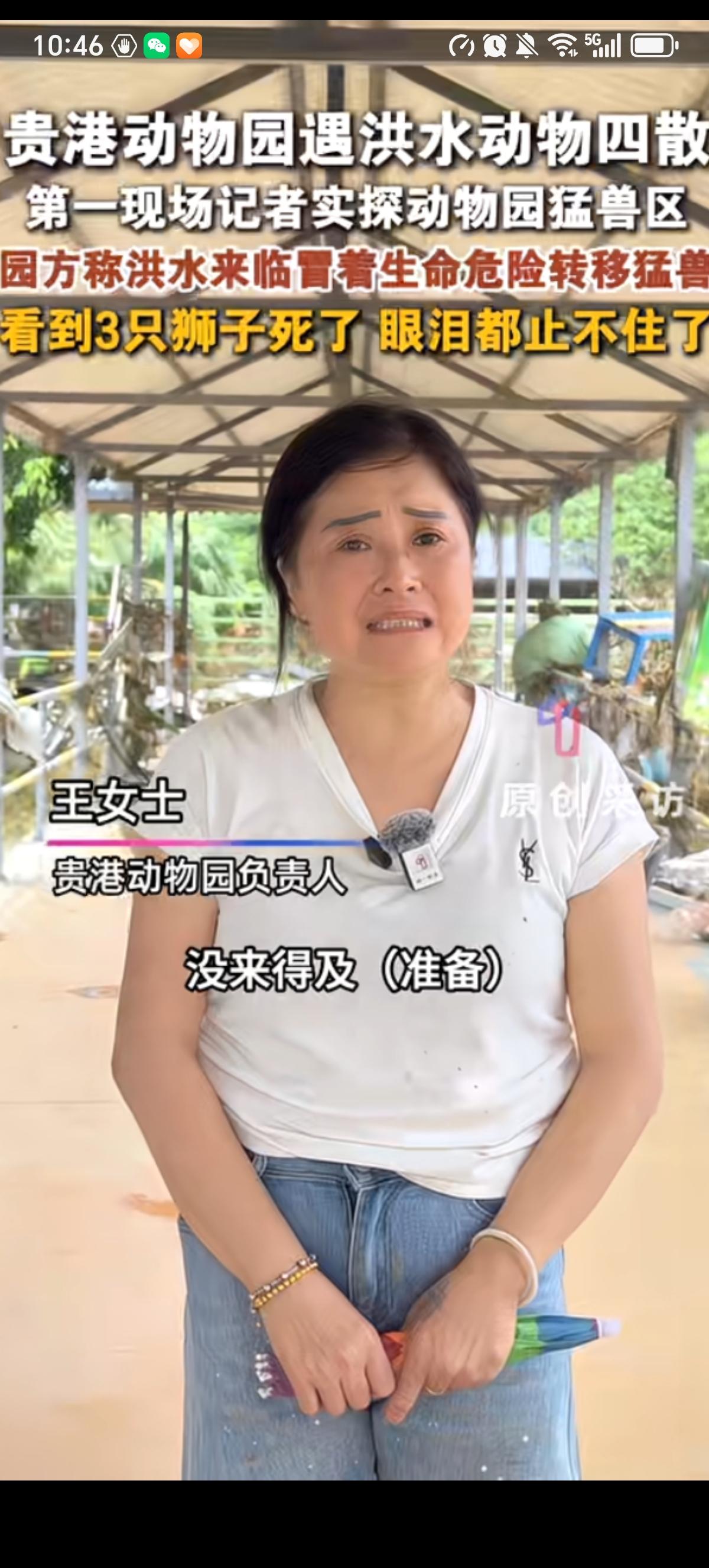 锁死猛兽区的贵港动物园负责人真的太难了，眼看着大水顷刻间就会淹没整个动物园，没有