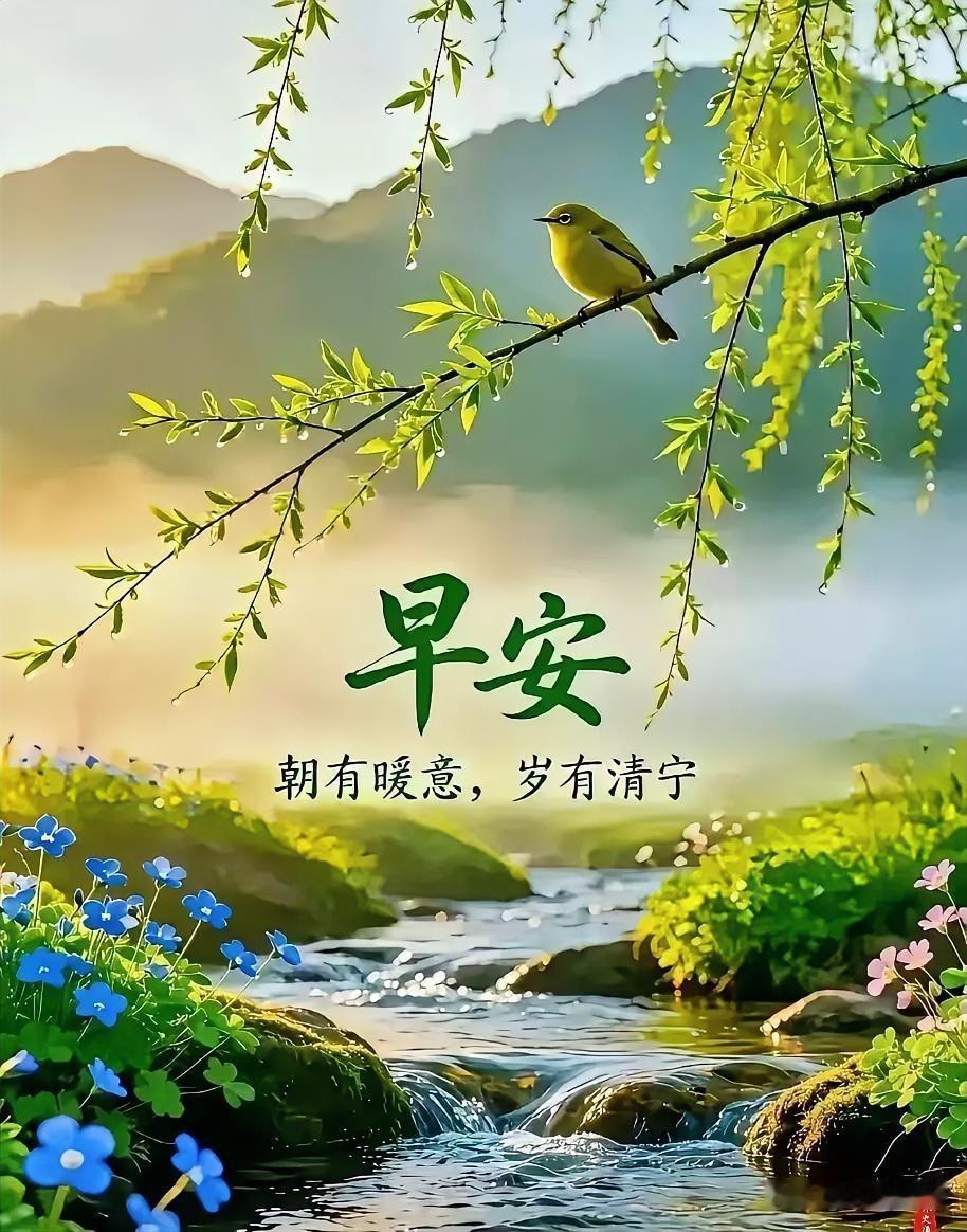 早安，愿你似这清晨般清新静谧。🌿🌸治愈系早安语春日早安仪式感清晨问候图
