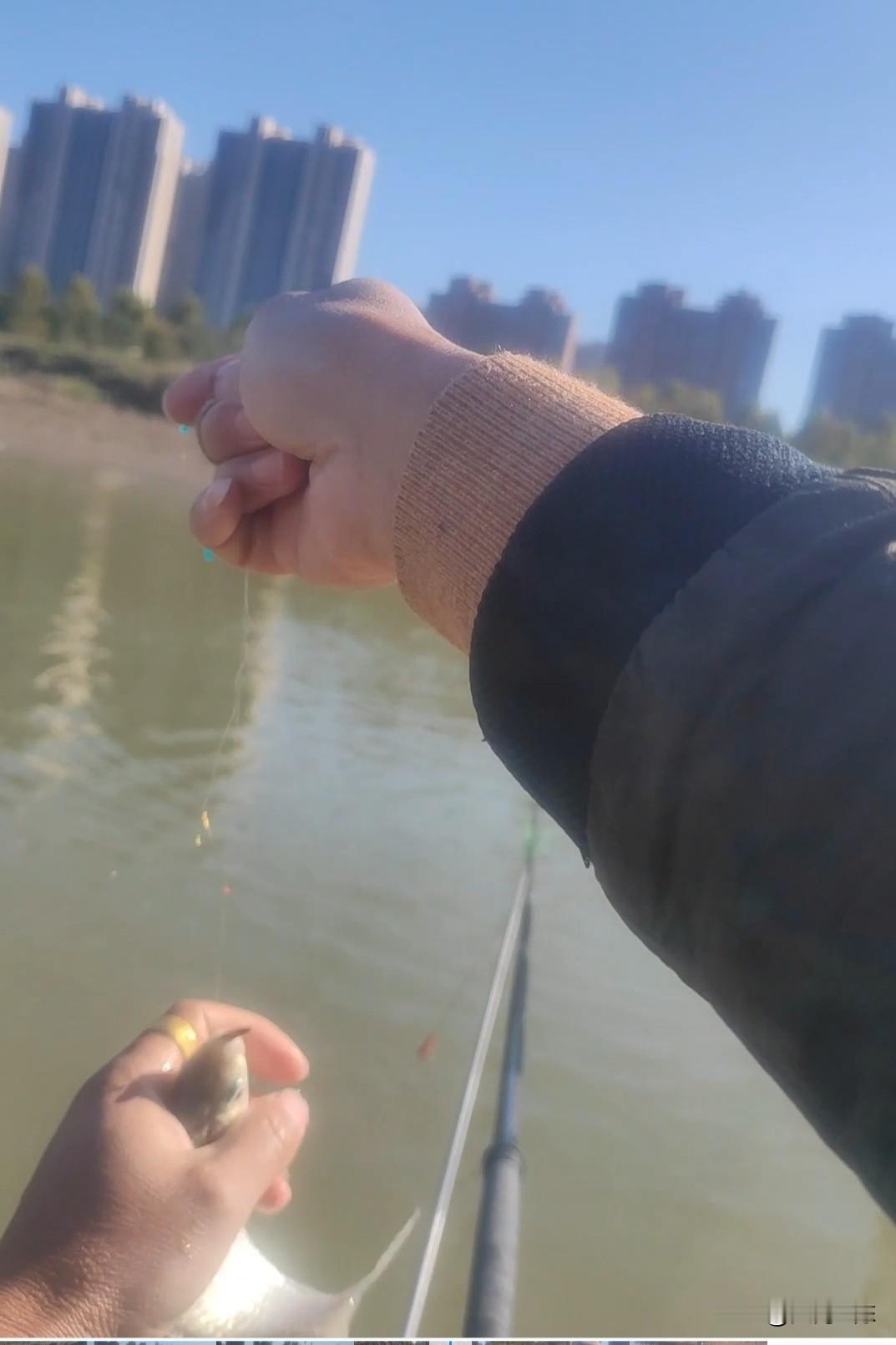 动态诱鱼其实比气味诱鱼更科学，效果更好。首先气味诱鱼的效率其实很低，因为气味在