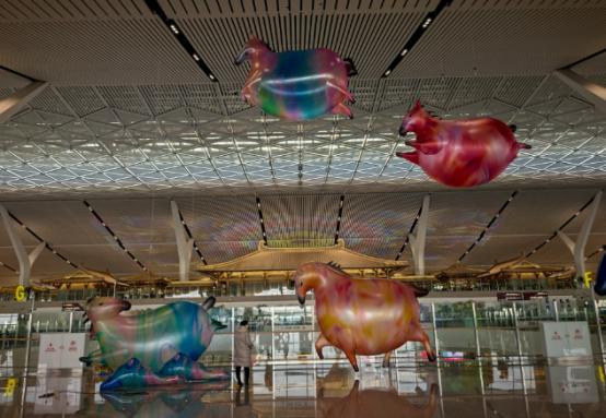 全世界也只有西安，能干出这样的事——机场扩建挖出4000多座古墓，干脆在航站楼里