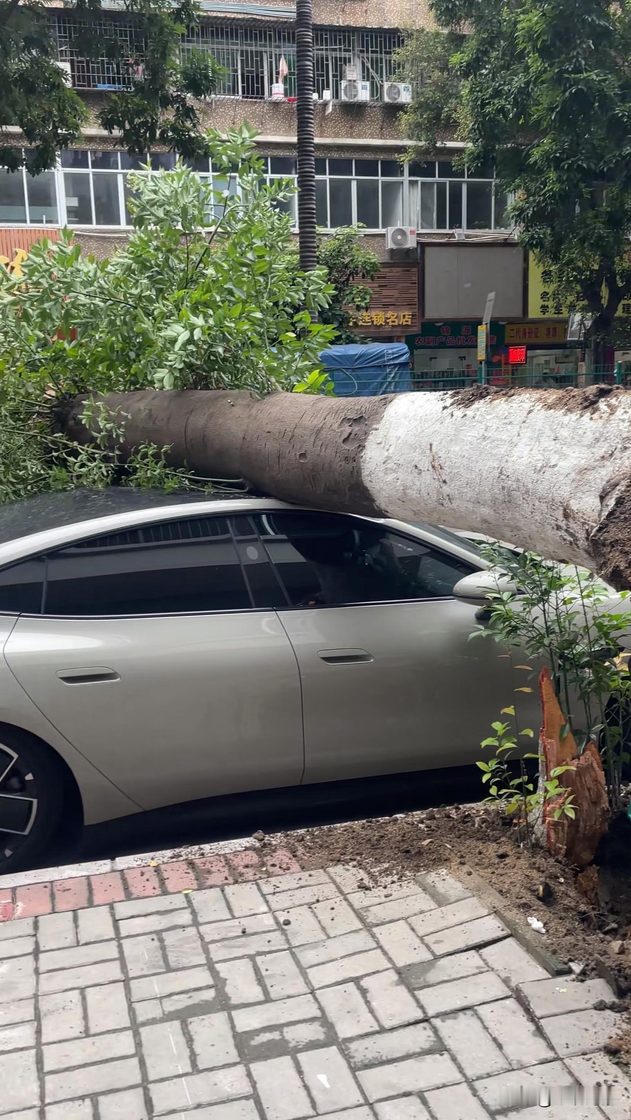 完了，中头彩了[捂脸哭]不偏不倚