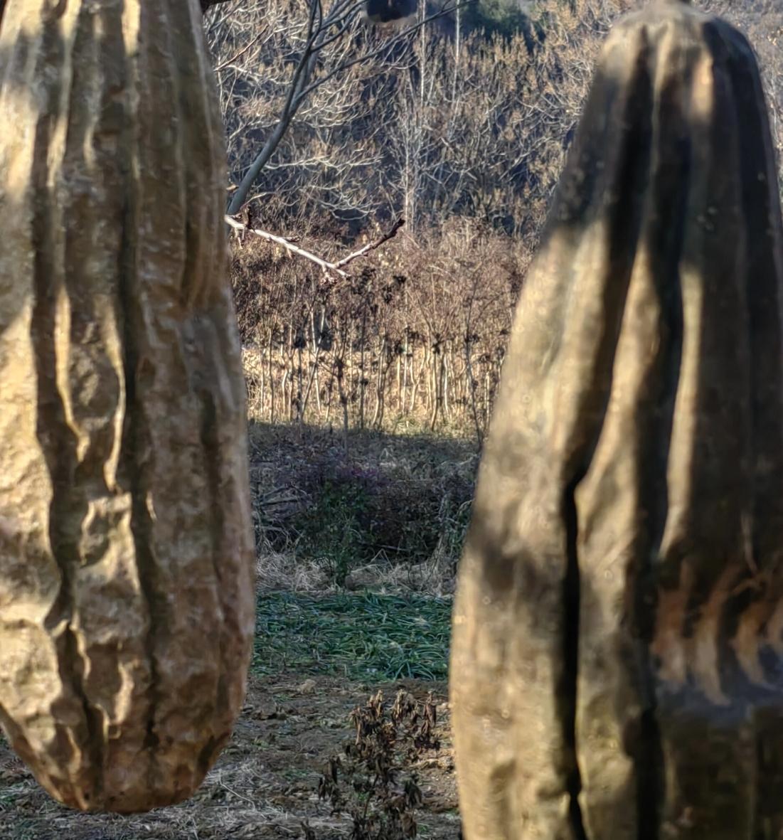 布什任美国总统时，对伊拉克动武绕过了联合国，对一个主权国家直接动手，英国、法国等