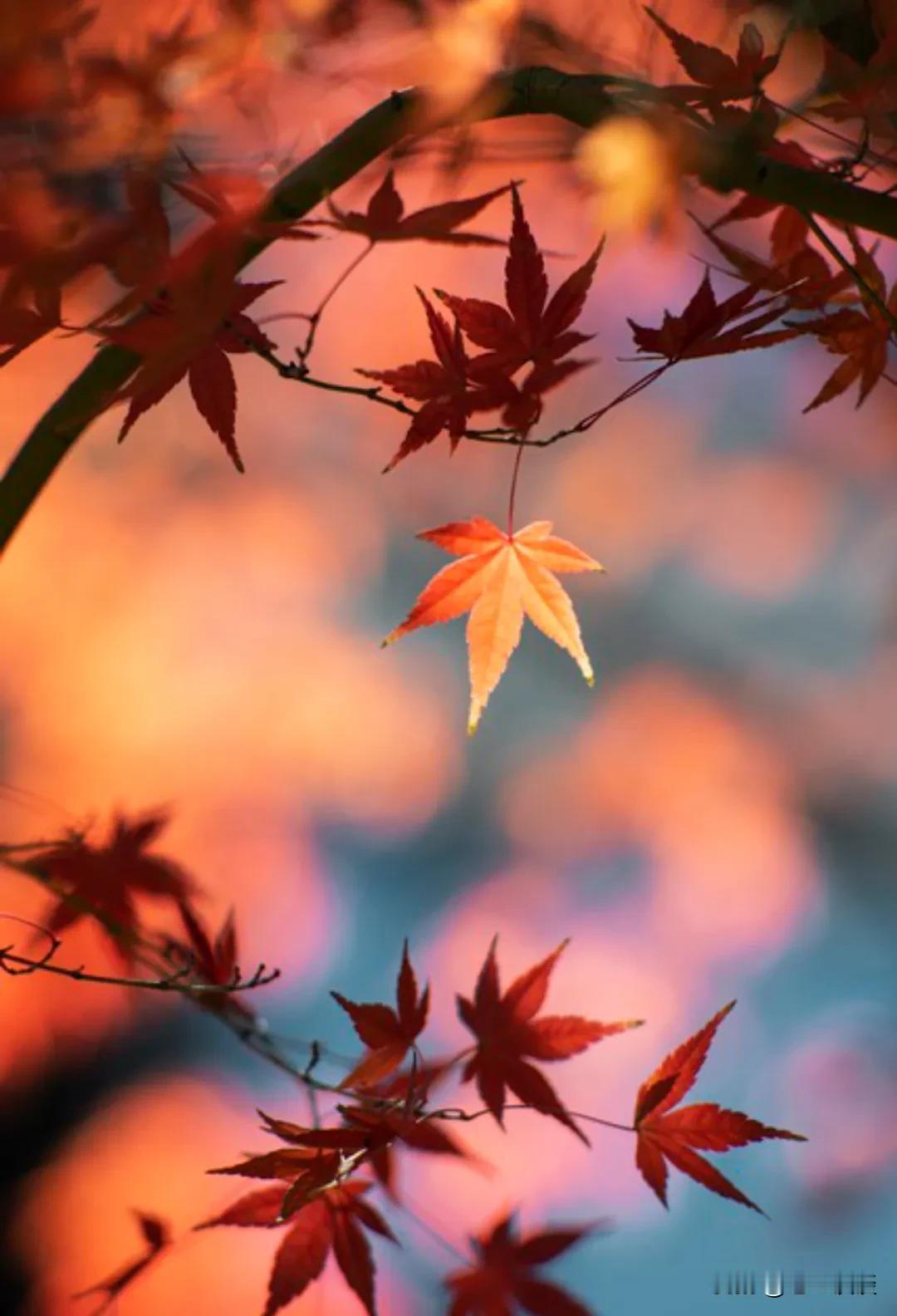 北大学霸的一段话，点醒众人：“一块石头，一半做成了佛，一半做成了台阶，台阶不服气