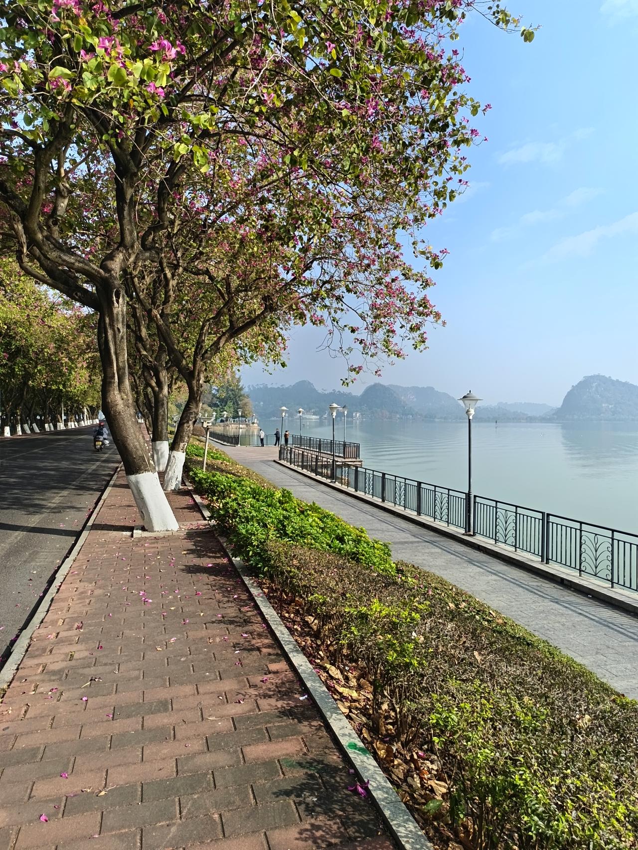 我终于知道为什么香港离肇庆这么远？有些香港人却依然要定居在肇庆家人们谁