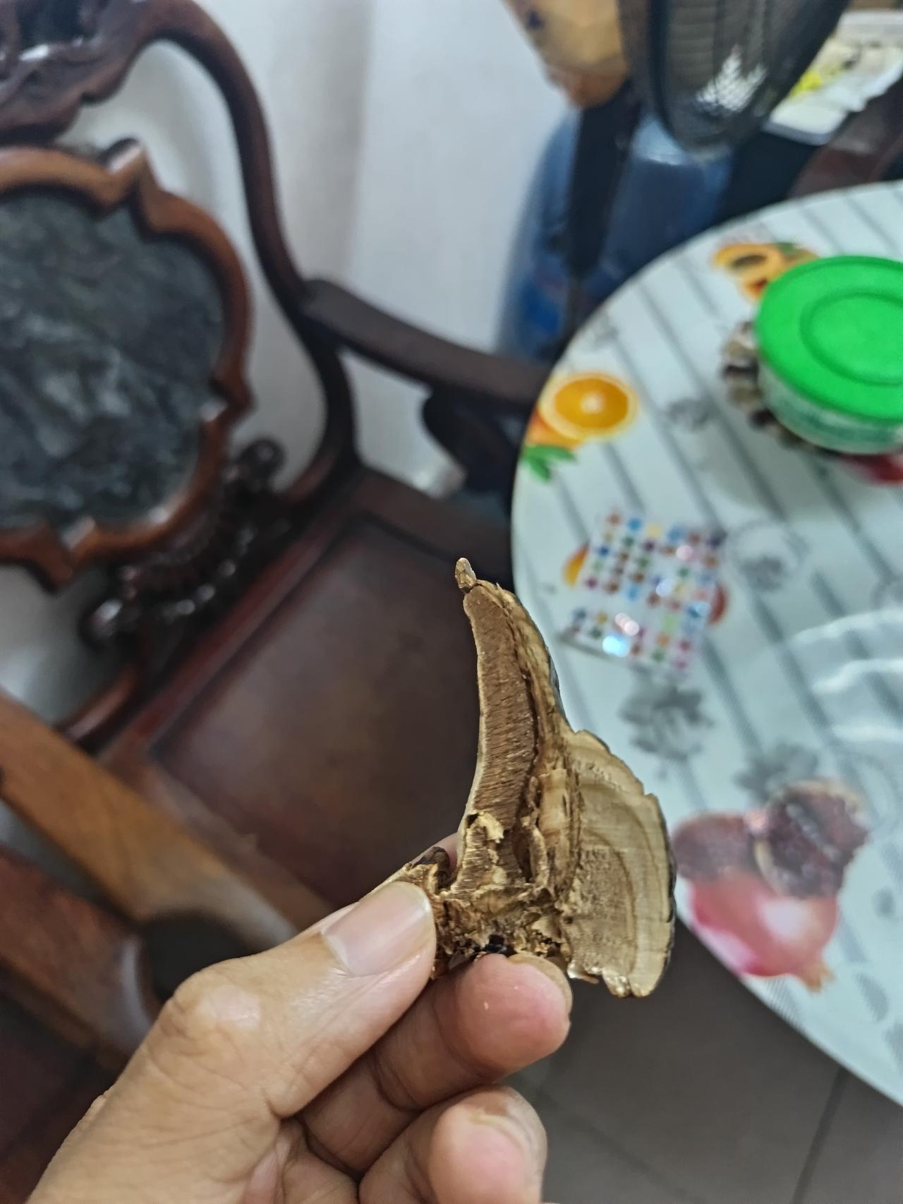 我终于知道了为什么现在的药材没有太多的药性所以依然卖的这么贵你敢相信