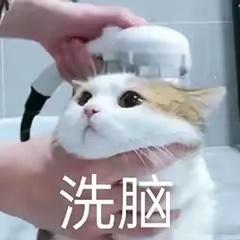 虽然说，已经澄清了，是主动申请延迟毕业！曝短剧演员陈添祥延毕2年但是吧，就算不是