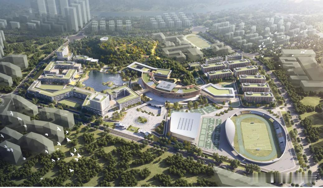 在浙江这么多年，佩服义乌，另外就是新昌县，新昌县啊，算得上是一个很能打的山旮沓里