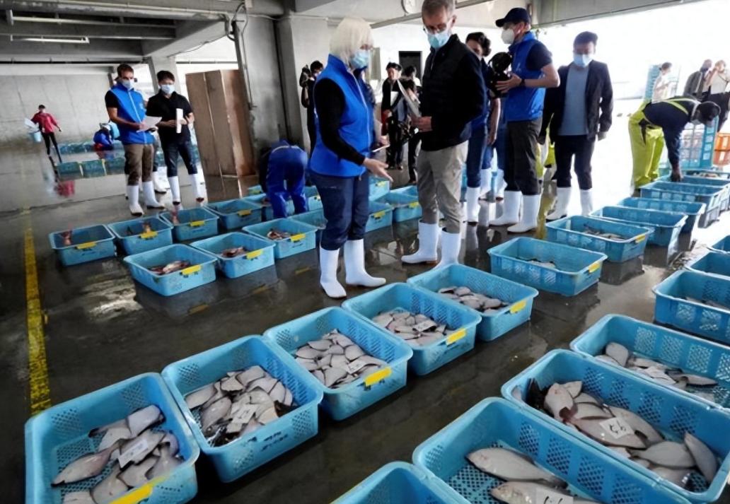 日本排放核水后，奇怪的事发生了：刚开始各国对海鲜避之不及，如今3年过去，核水