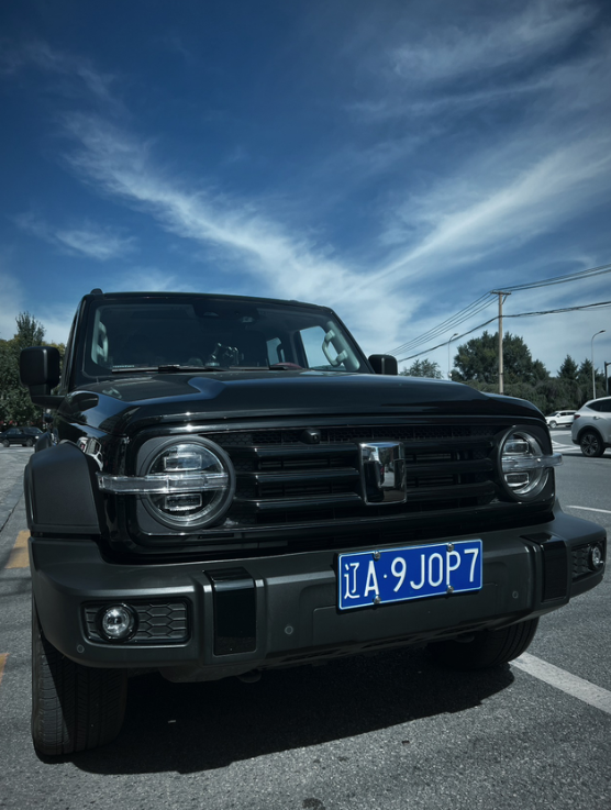 关于坦克300的真实油耗很多人喜欢坦克300，但是又对越野性能的车型油耗有所担