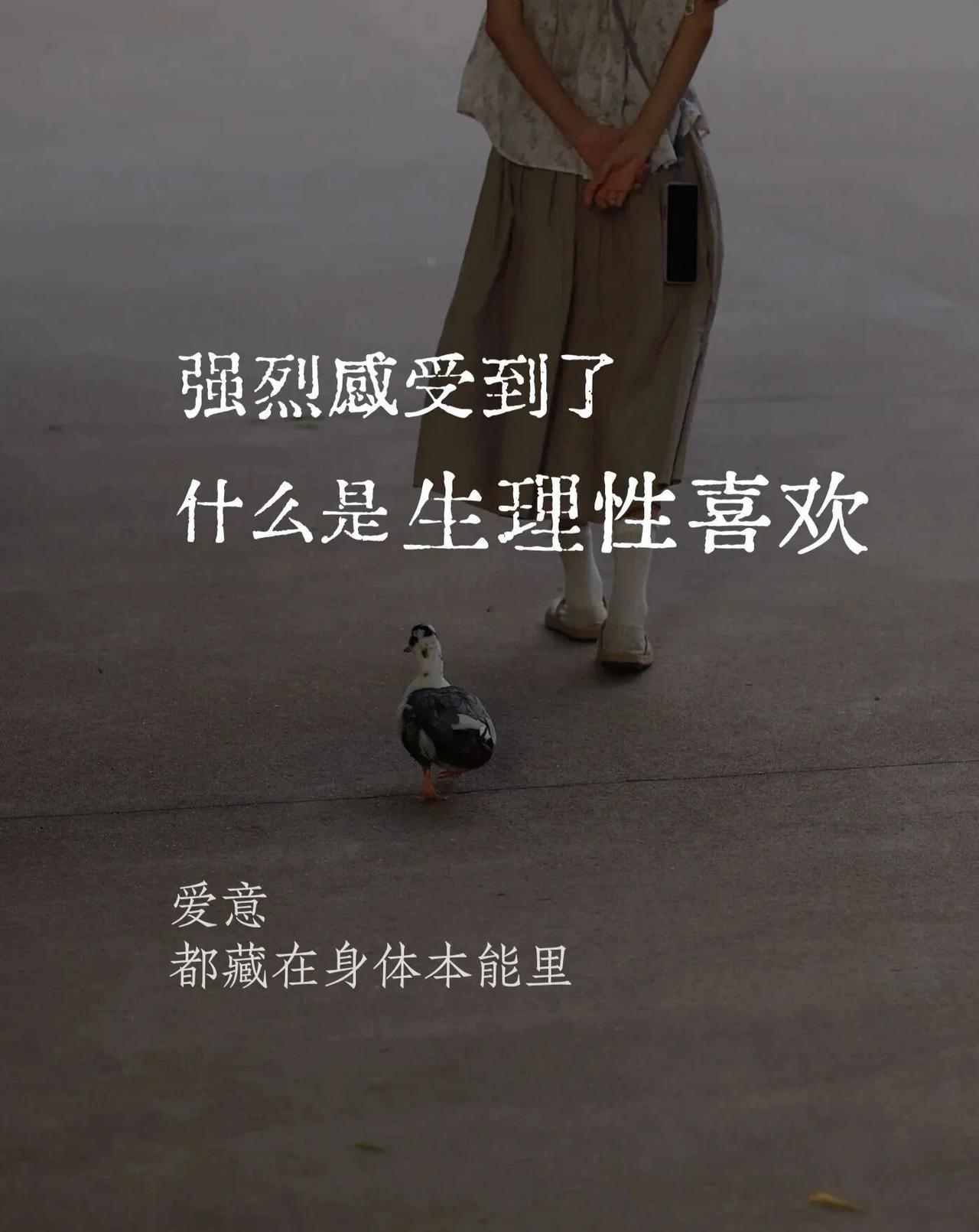 强烈感受到了什么是生理性喜欢上个月闺蜜梦梦，在我们小群聊起一件小事。她说自家老