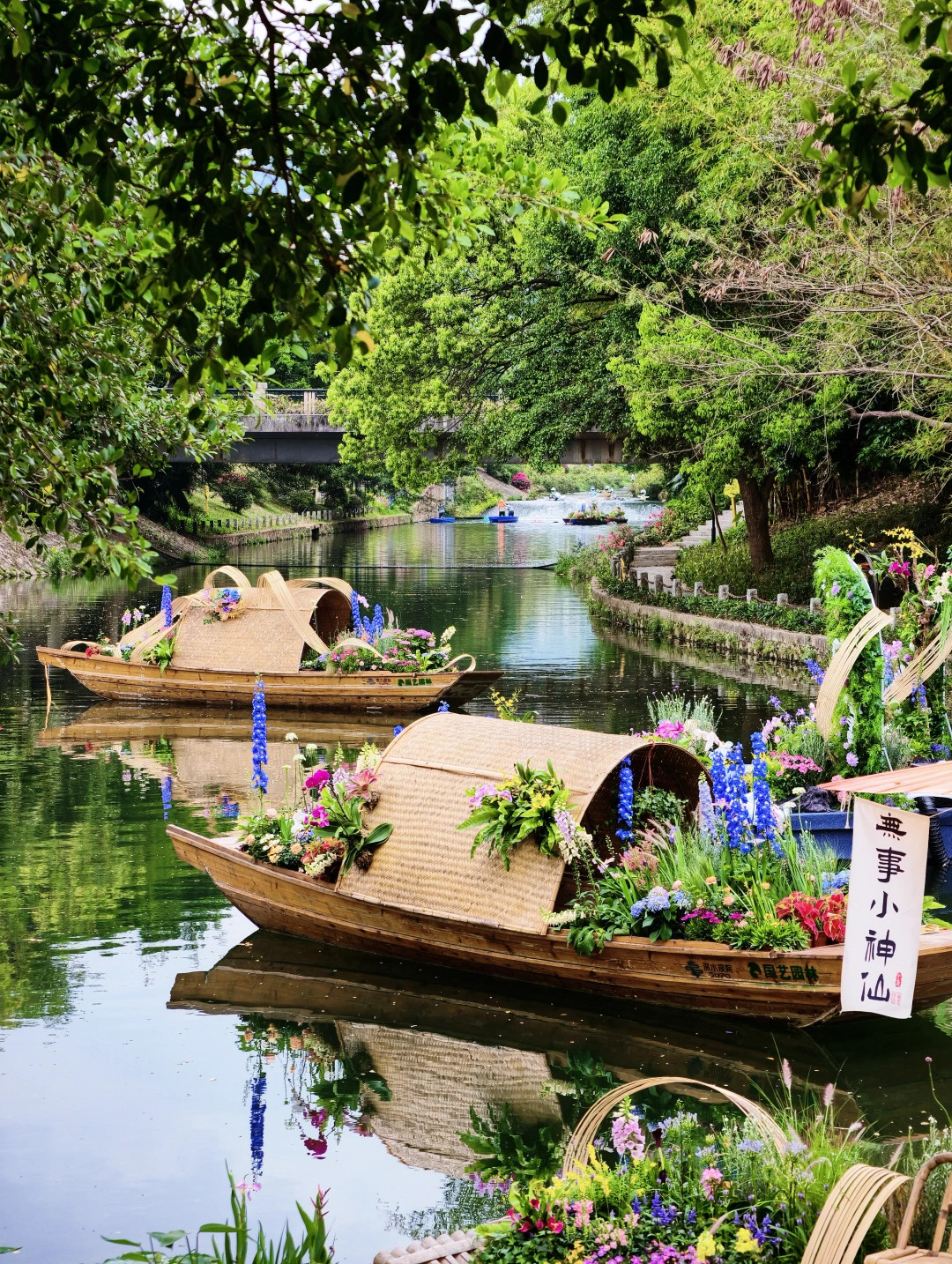 2026大湾区花展明天开展➡️附攻略导览