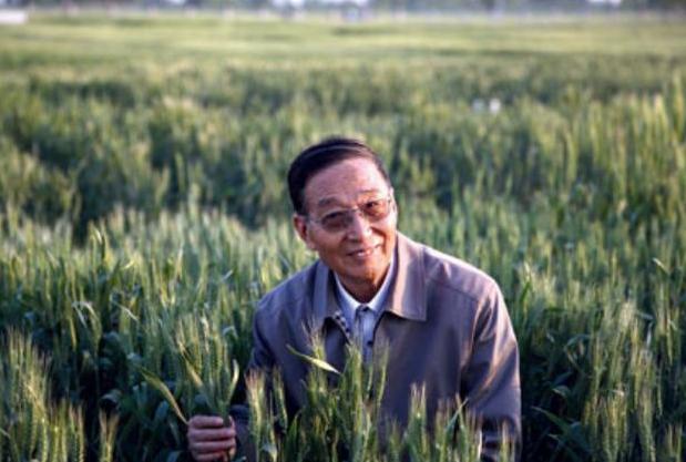 中国又出了一位“袁隆平”！他让粮食产量增长1000亿斤，喂饱5亿中国人，被称为中