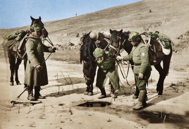 这张照片捕捉了在抗战时期，我国东北地区的残酷一幕。在寒风凛冽、荒芜萧瑟的野外，两