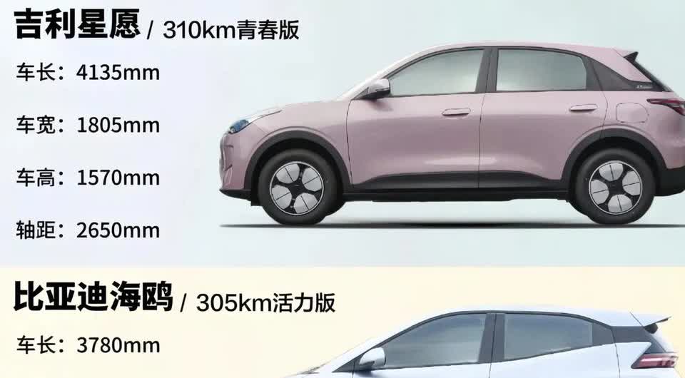 五一去看车，想给老婆买台代步车，看上了星愿和海鸥，不知道怎么选，星愿大一些，海鸥