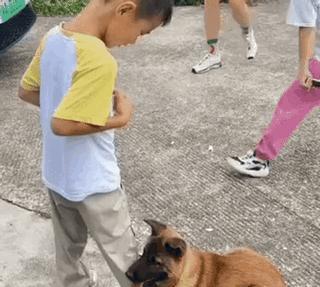 这只流浪狗抱着小男孩就是不松开了，而且紧紧的、友好地抱着，非常有意思的场景。常