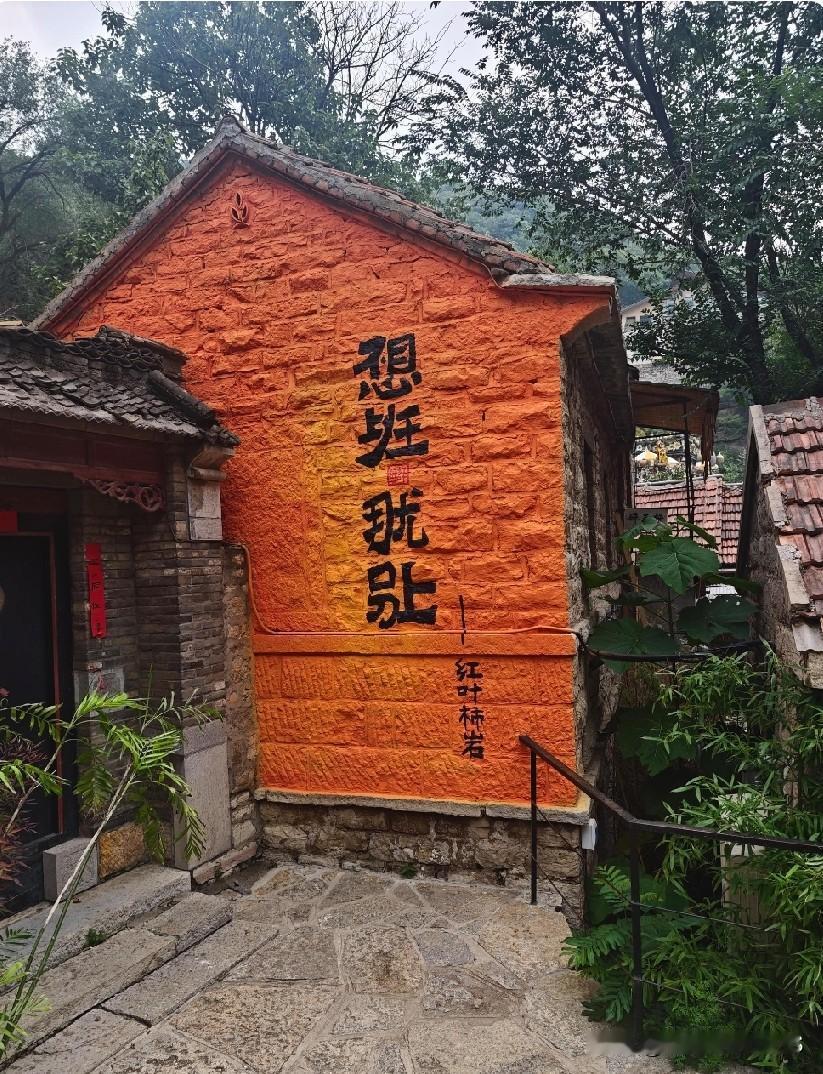 差点看傻眼！墙上少写一个字，打工人瞬间破防😂山东红叶柿岩的网红打卡墙，原本是