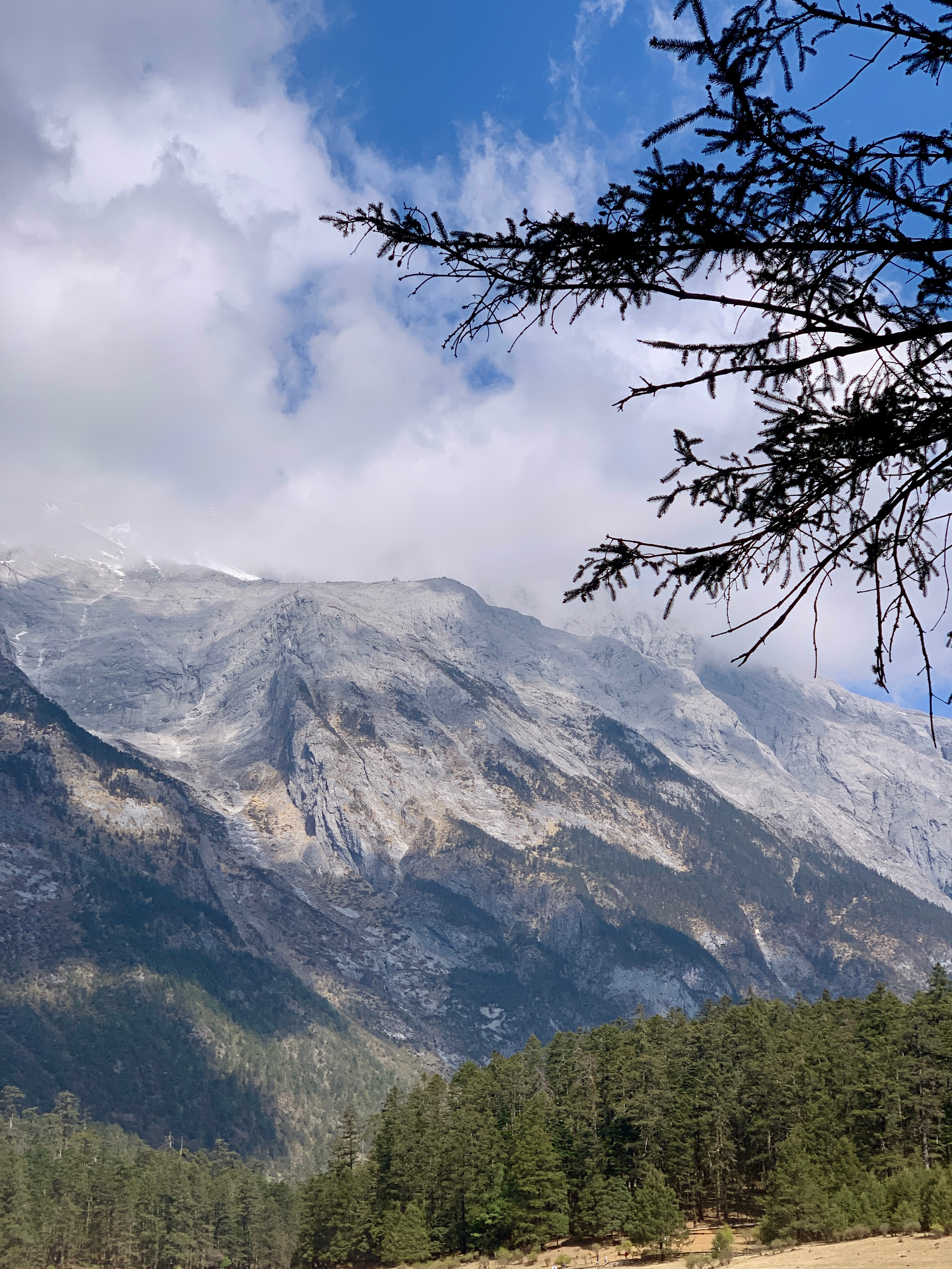 云杉坪你美美的丽江·玉龙雪山