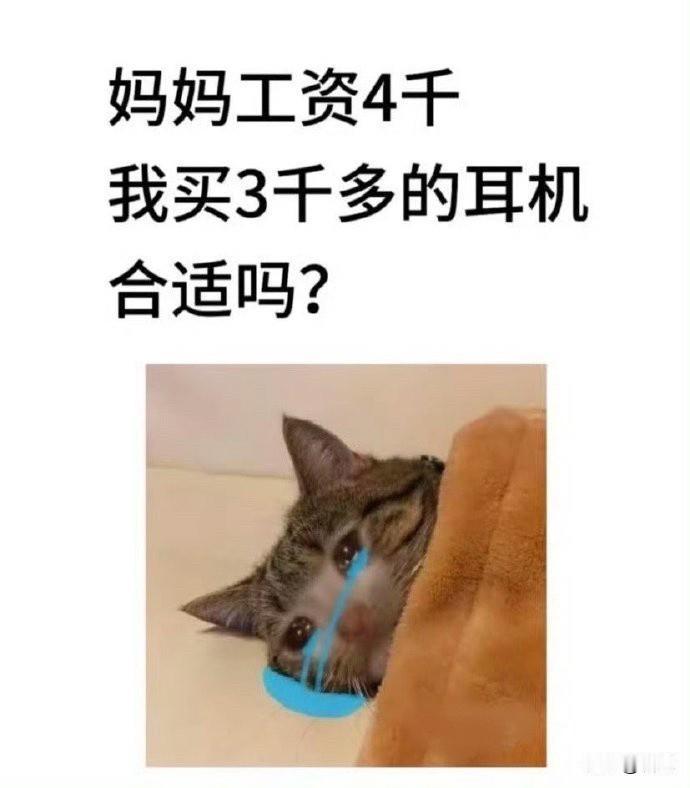 啥耳机还能拍照用的？还要三千多？工资4000，还是妈妈的，结果孩子要买300