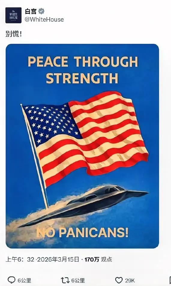 哈哈哈哈[大笑]别慌……我们慌个鸡毛啊！现在这情形，谁慌谁知道！美国旗插在