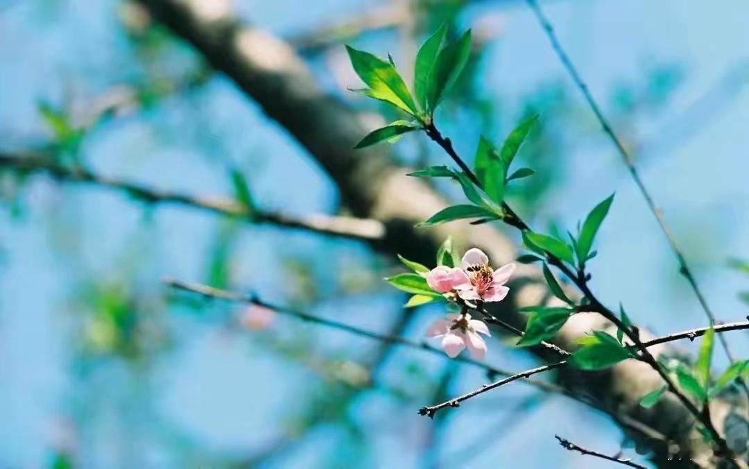遇事不慌，是对自己的温柔。沉下心来，把日子过成诗，平淡也有滋味，无味也能品香。