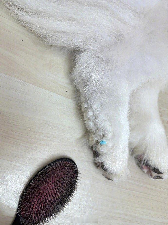 还以为腿上长腹肌了​​​