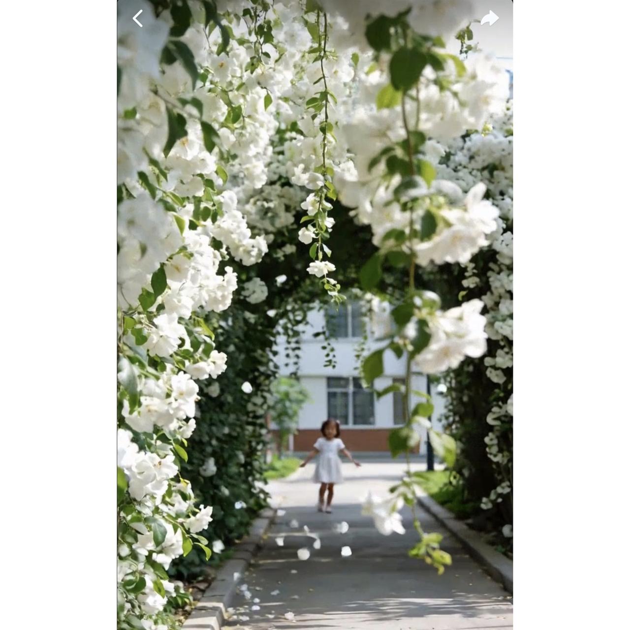 风雨人生里，人生的底气究竟是什么？有人觉得是相依相伴。半生风雨后才懂，年轻时单枪