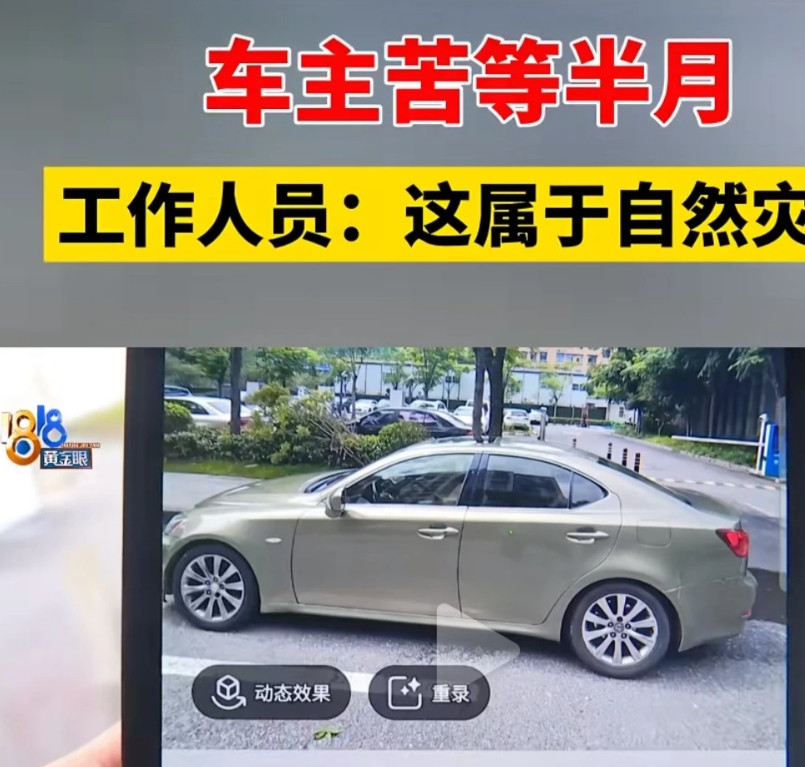 7月11日报道，一场大雨过后，浙江诸暨的孙先生遭遇了意想不到的烦恼，车子停在路边