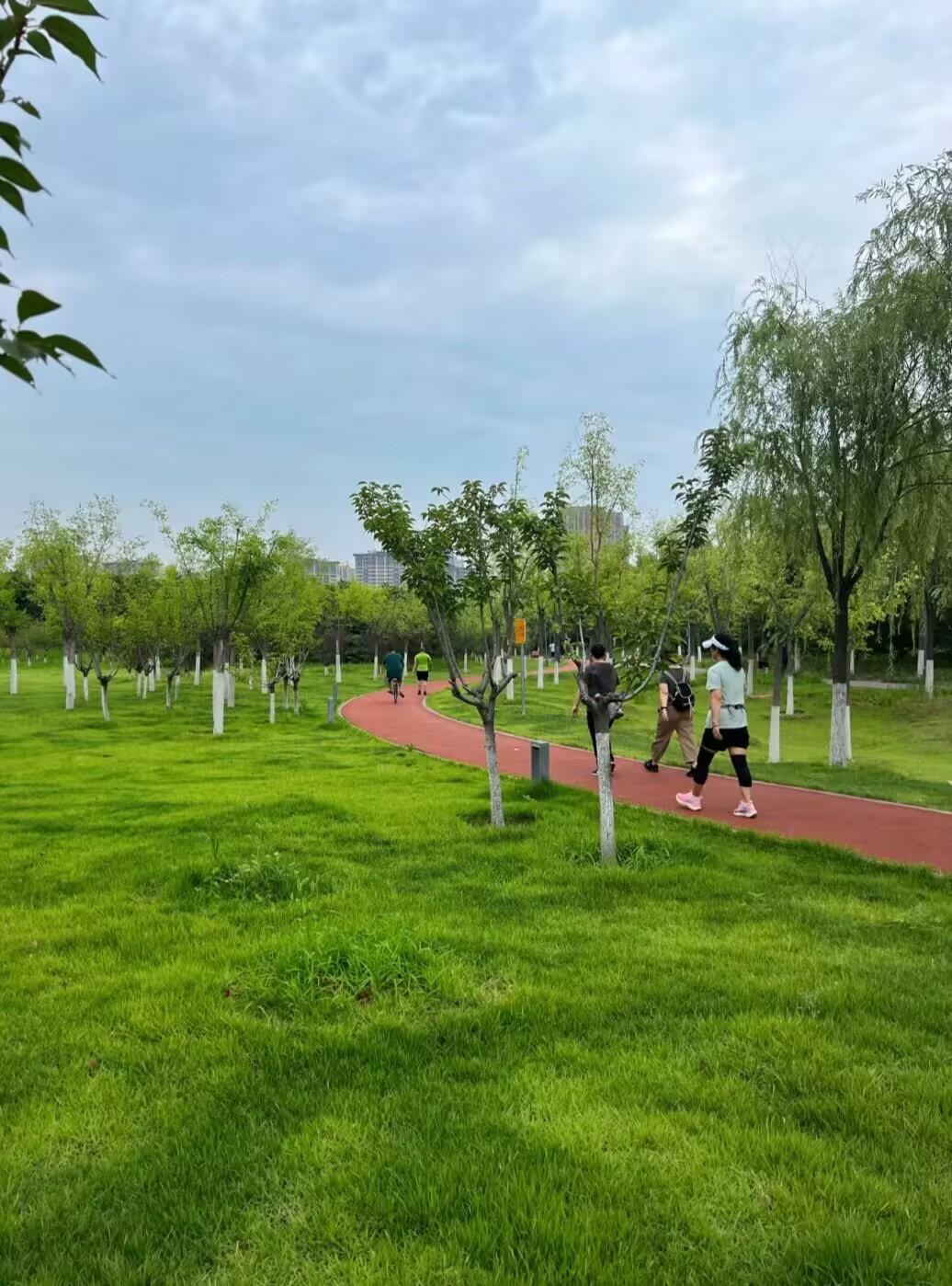 我发现，现在的退休人员怪的很，但凡体制内的，公务员或事业编，文化水平高的退休人员