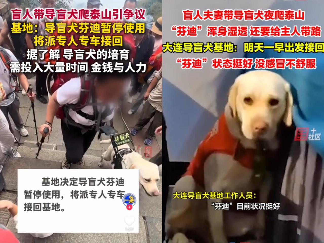 那对在泰山“作死”的盲人夫妻又有新消息被网友扒出来啦！原来他俩来自北京，