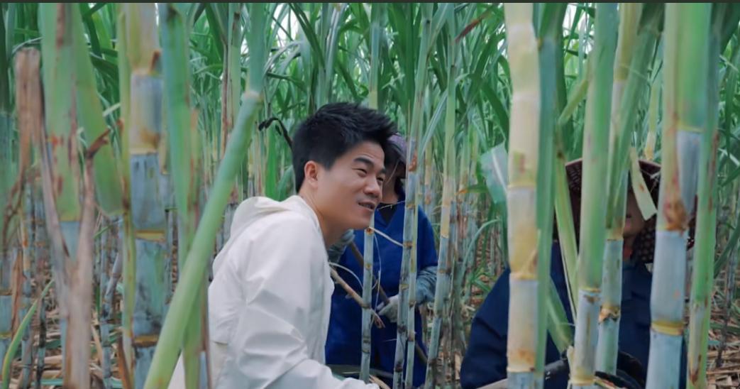 董宇辉不蹲直播间了,蹲地头去了。他手里没稿子,手里是泥巴。五常的稻子,新疆的