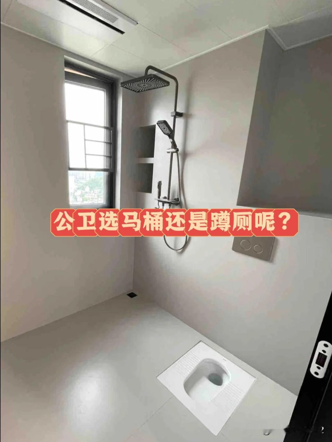 公卫选马桶还是蹲厕呢?纠结!蹲坑有点丑啊!不过有客人来比较方便。马桶好看点,但
