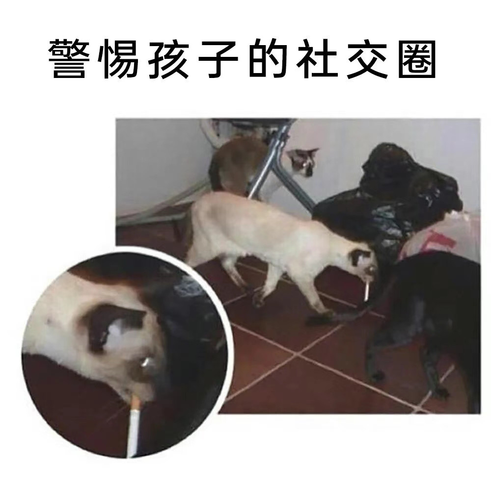 别找我家孩子玩了​​​