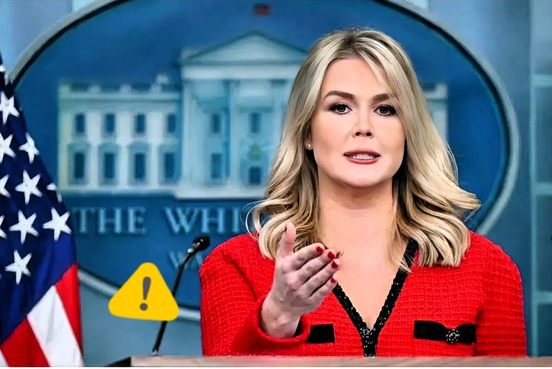 中日闹了这么多天美国终于坐不住了！11月20日，美国白宫发言人凯莉·麦肯纳