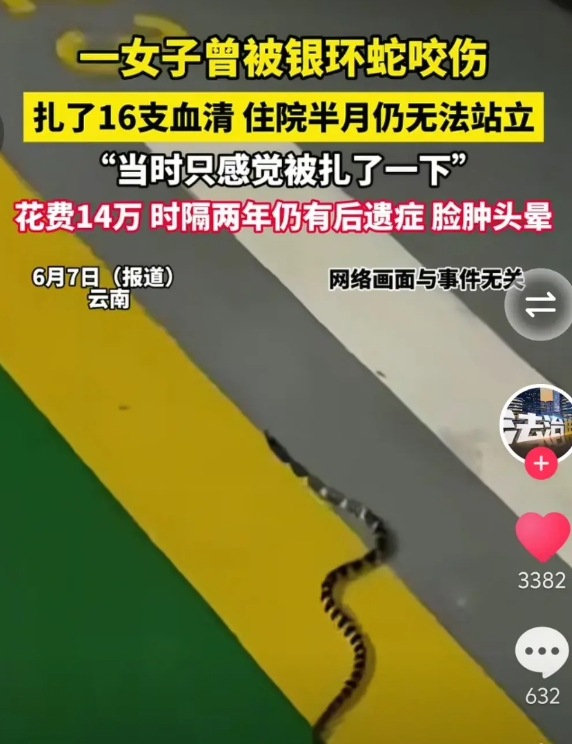 银环蛇的毒性到底有多强？真实事件为例，不看不知道，一看吓一跳，绝不是危言耸听。