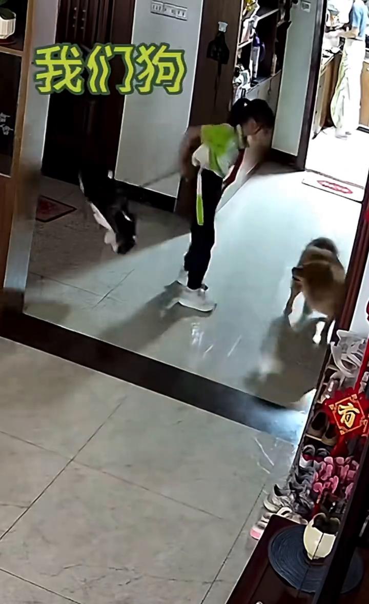 是毛绒绒，我们狗，我们宝，我们哒小宝。诶呀。