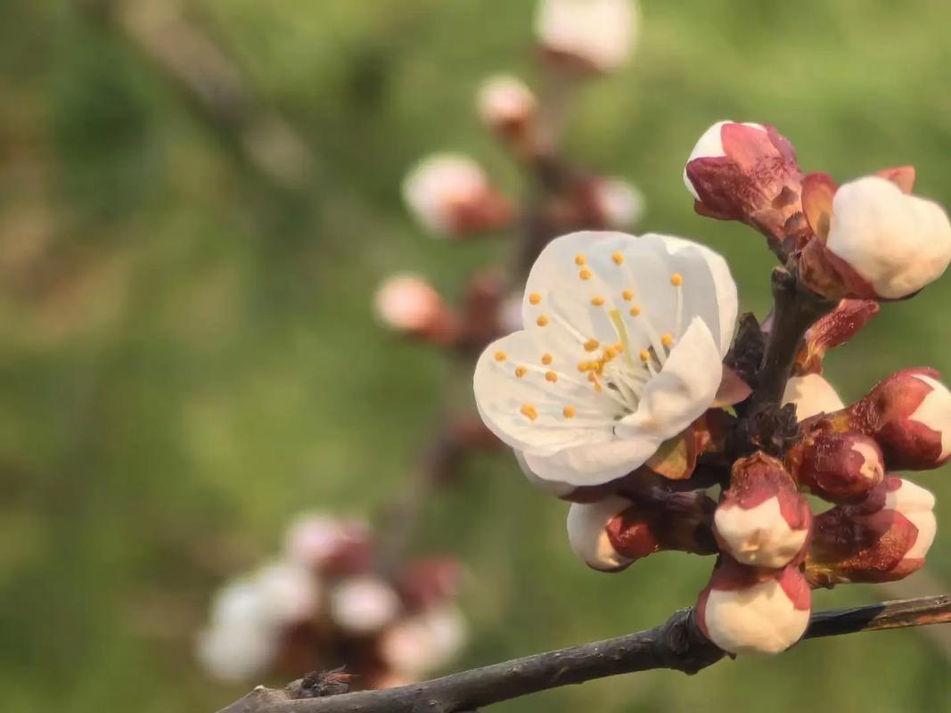 老司机说：“娶老婆也好，找情人也罢，千万别找那种不上班的，这种女人就是一个无底
