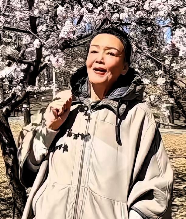 兰姐不拍小七宝,流量下的清醒策略张兰家里，新添了丁。那是小七宝，汪小菲的娃。