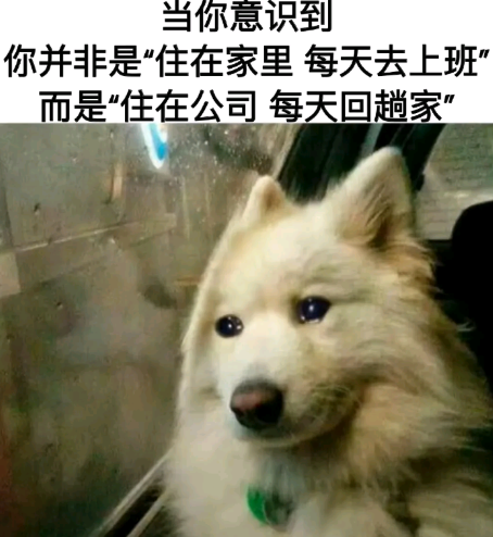 很有梗了，哈哈