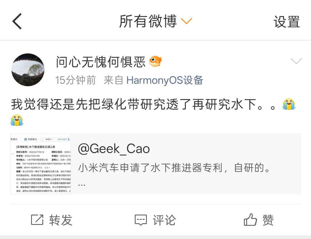 也不知道这位网友有没有车，开没开过车。解决绿化带最简单粗暴的方式就是出个老头乐，