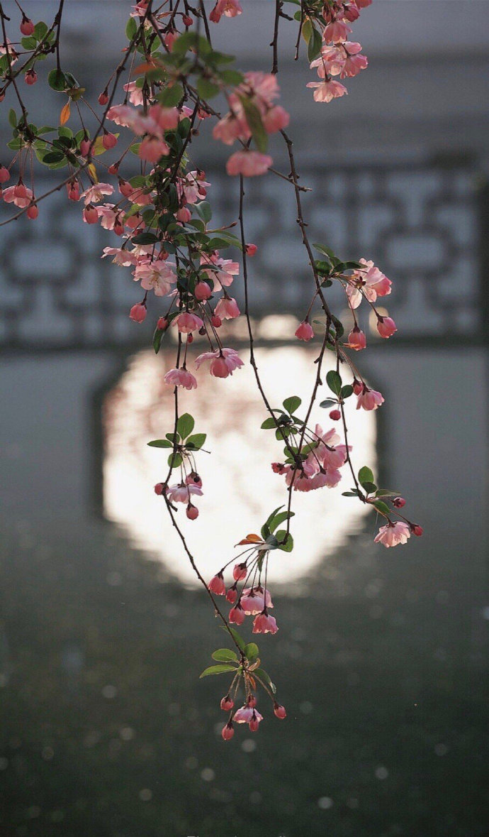杨绛先生说过一段话：“每个人都会有一段异常艰难的时光，生活的压力，工作的失意，学