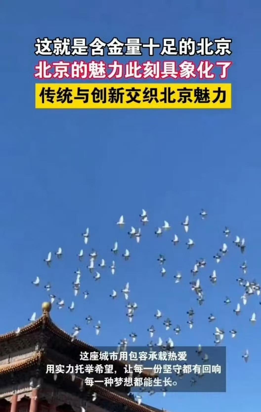 夜晚的国贸旁太有画面感了！玻璃幕墙映着霓虹，热饮暖手，年轻人步履间都是活力，城市