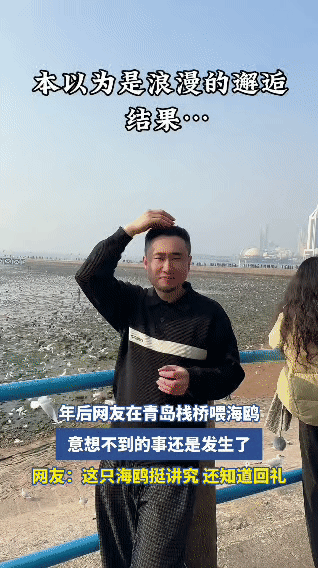 青岛栈桥喂海鸥遭遇社死名场面来了…男子本想去栈桥邂逅浪漫海鸥，结果直接被海