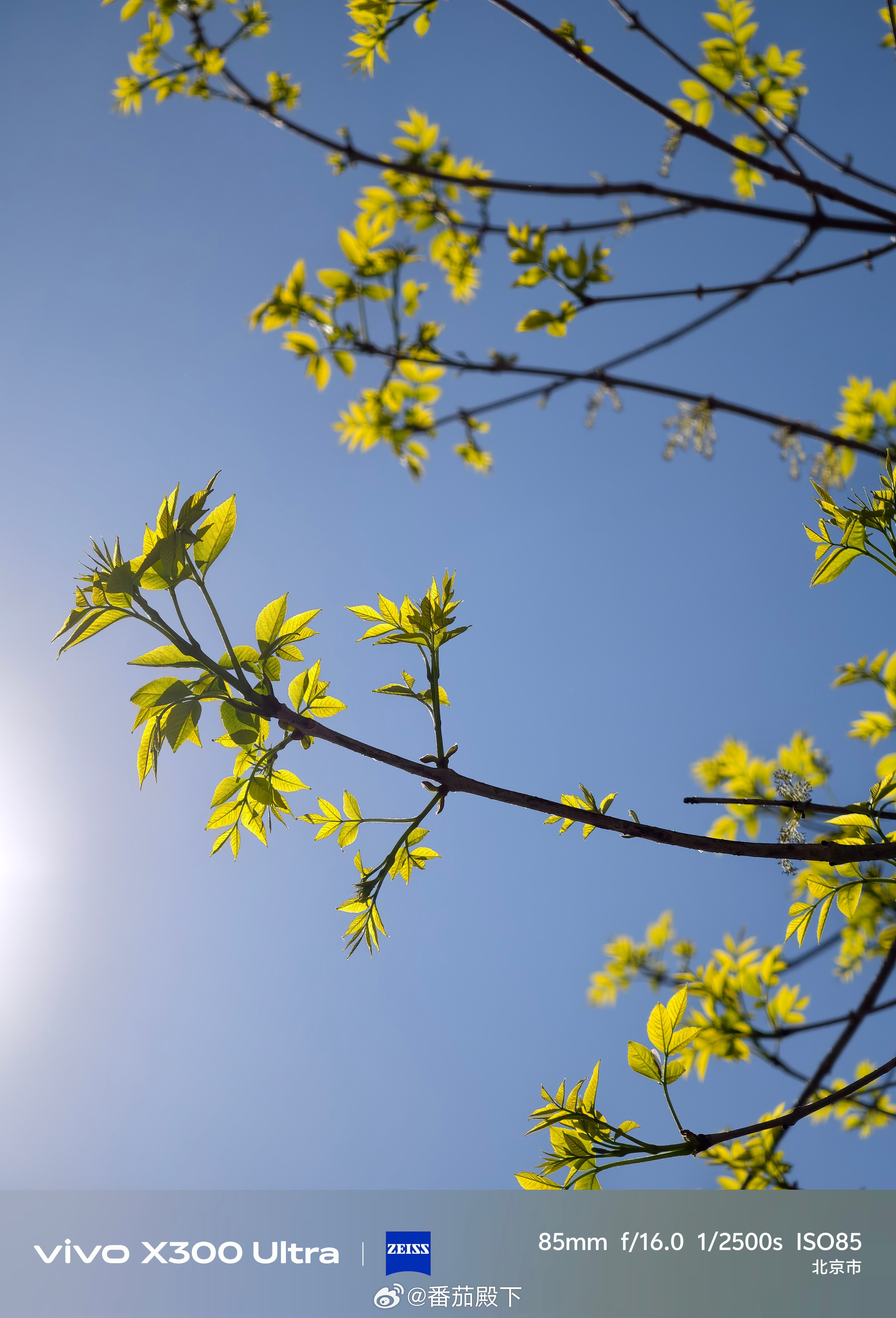 Xiaomi17UltravivoX300UltraOPPOFind