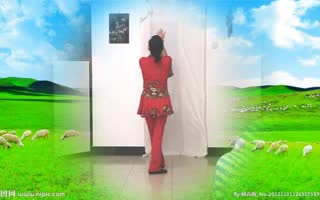 秋水伊人广场舞《梦中的兰花花》