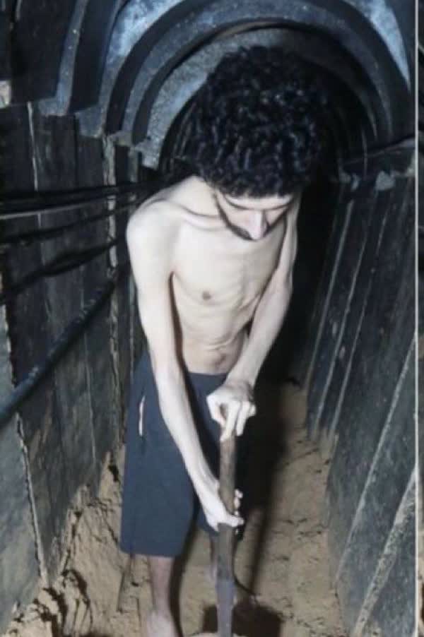 实在不理解为何以色列对这么一张自己人质骨瘦如柴的照片如此兴奋，据以色列外交部的声