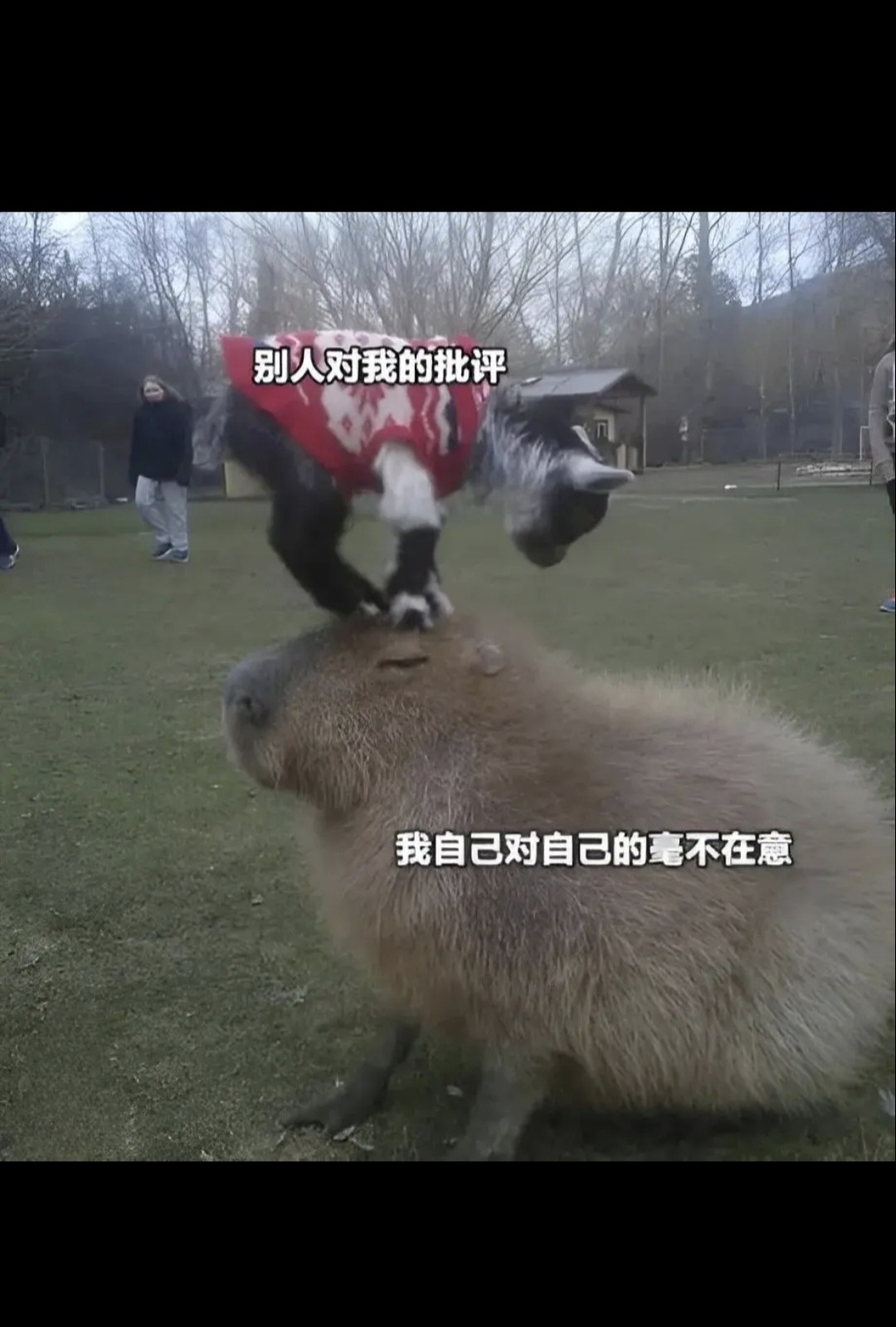 别人对我的批评